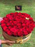 Luxury Rose Box with 50 Imported Roses