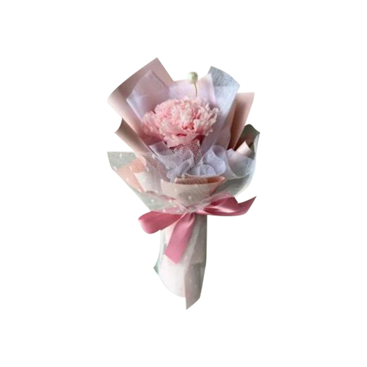 Blush Petite (Carnations) | Fresh Flower Bouquet