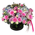Serene Sonata (Roses, Carnations, Hydrangeas) | Gift Box