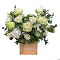 Serenity Bloom (Lisianthus, Lotus, Baby's Breath) | Fresh Bouquet