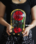 Crimson Eternity Preserved Rose Islamabad