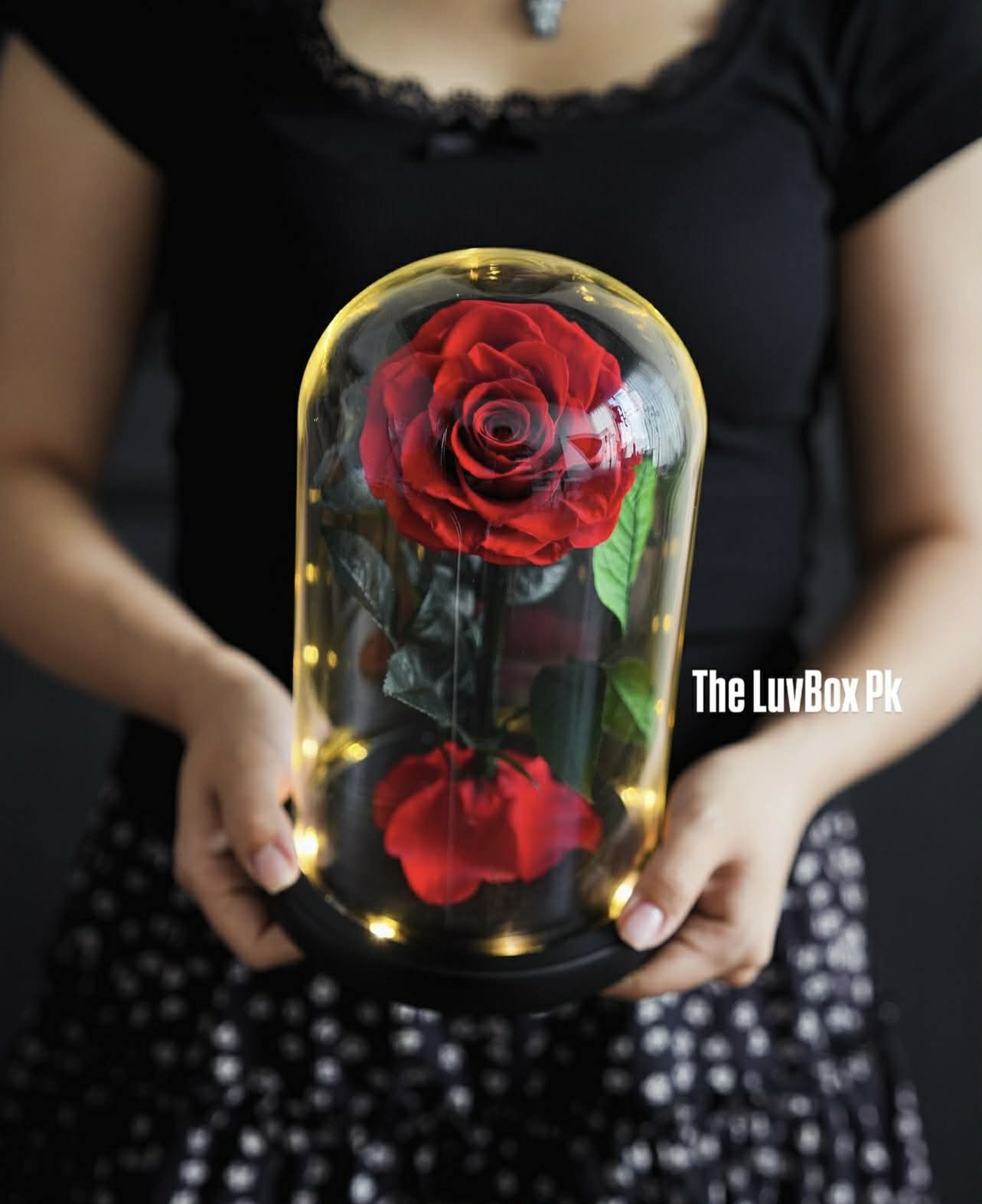 Crimson Eternity Preserved Rose Islamabad