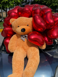 Giant Hug Surprise Teddy with Helium Balloons