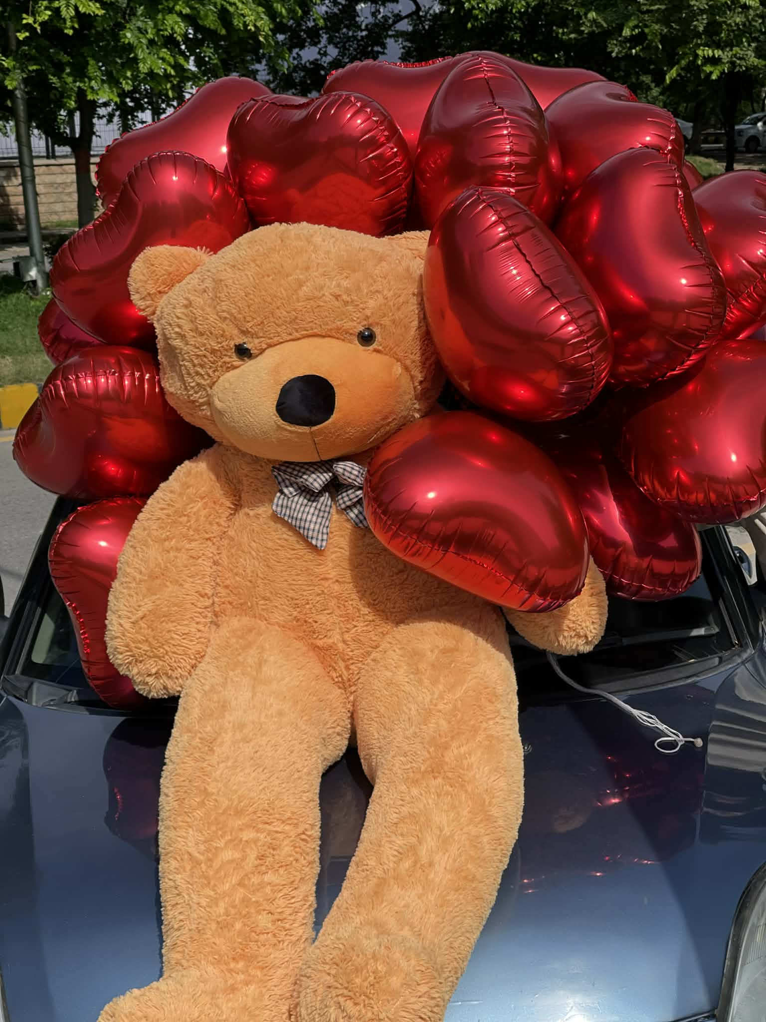 Giant Hug Surprise Teddy with Helium Balloons