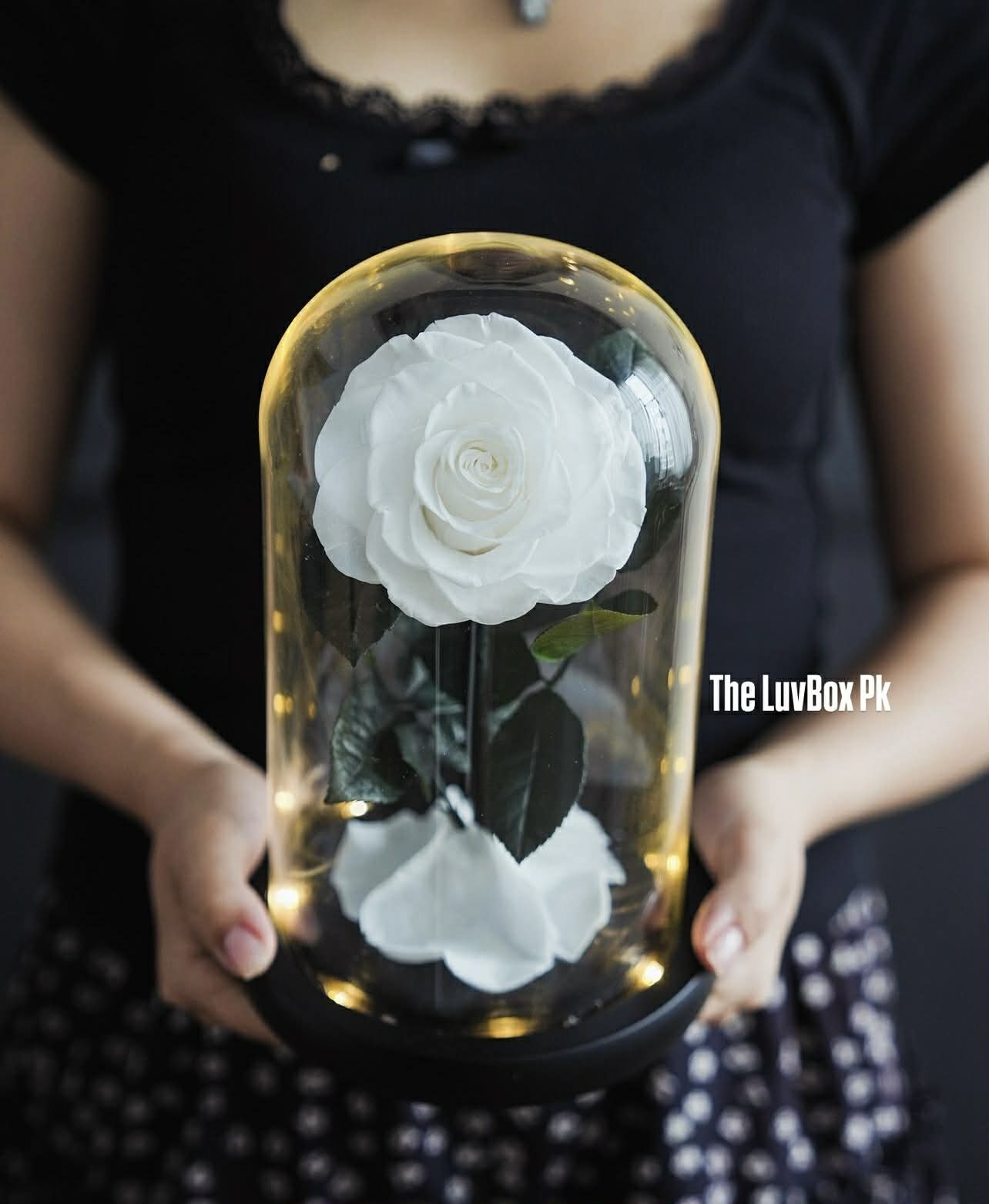 Ivory Eternal Preserved Rose in Pakistan