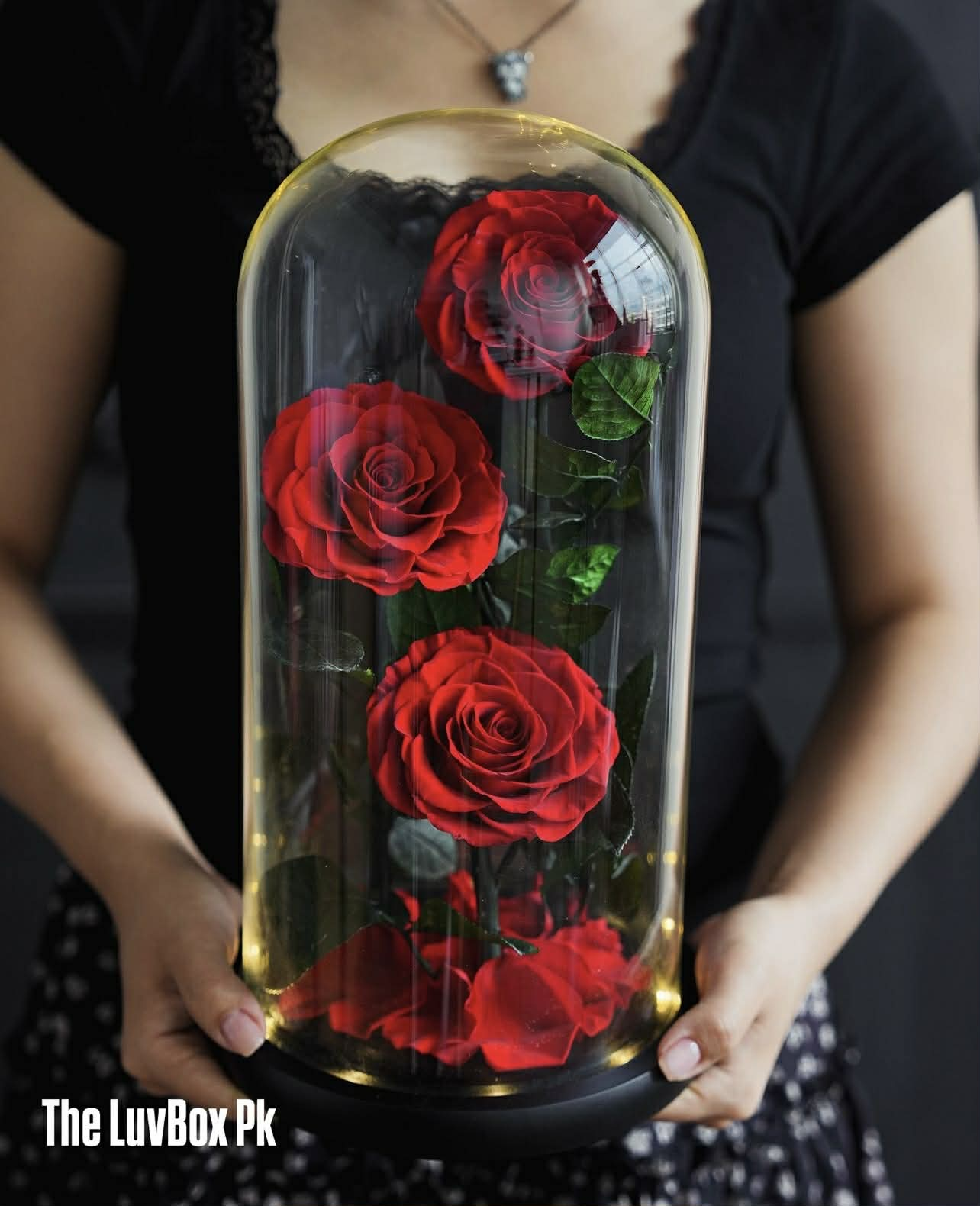 Tri-Scarlet Royale Forever Roses in Glass Dome